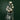 3-STAR SET, BERES 10